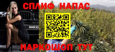 хмурый Тара