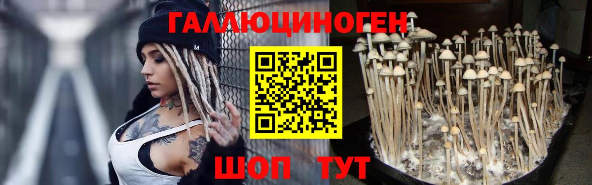 Псилоцибиновые грибы Magic Shrooms  Вход с VPN  Нефтеюганск 